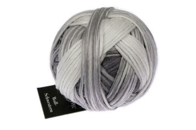 Schoppel-Wolle WOOL SISTERS 2664 Edda