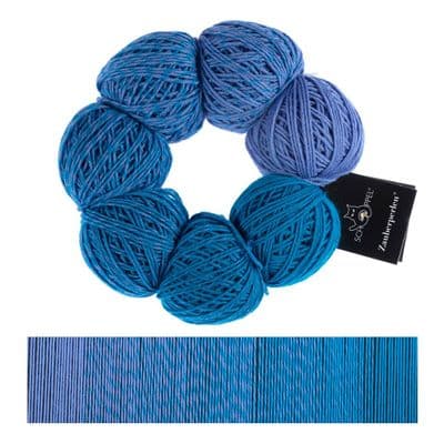 Schoppel-Wolle ZAUBER PERLEN Ritenuto 2460