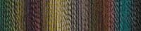 Schoppel-Wolle ZAUBERBALL 6-ply Dragon Eye 2528
