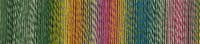 Schoppel-Wolle ZAUBERBALL 6-ply Malerwinkel 2334