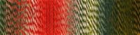 Schoppel-Wolle ZAUBERBALL 6-ply Parrot 1701
