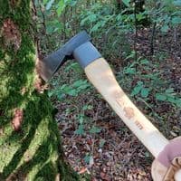 Bison Universal Axe Pro