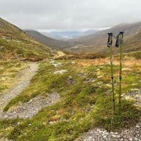 DD Hammocks Hiking Pole