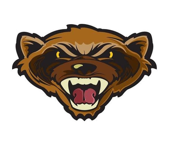 Mk II TBS Wolverine Puukko