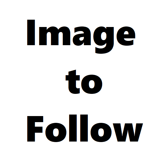 NEW TBS Grizedale Forest Hatchet