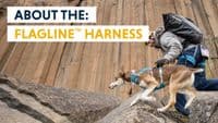 Ruffwear Flagline Dog Harness
