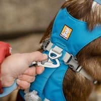 Ruffwear Flagline Dog Harness