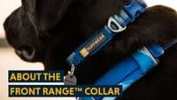 Ruffwear Front Range Dog Collar