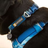 Ruffwear Front Range Dog Collar