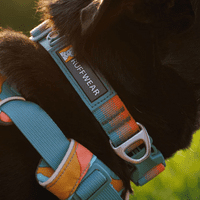 Ruffwear Front Range Dog Collar
