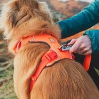 Ruffwear Front Range Dog Harness