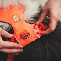 Ruffwear Front Range Dog Harness