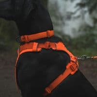 Ruffwear Front Range Dog Harness
