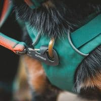 Ruffwear Front Range Dog Lead