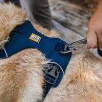 Ruffwear Front Range Dog Lead