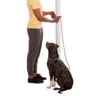 Ruffwear Hitch Hiker Dog Lead