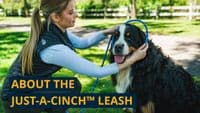 Ruffwear Just-a-Cinch Dog Lead