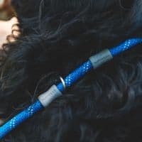 Ruffwear Just-a-Cinch Dog Lead