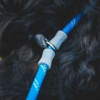 Ruffwear Just-a-Cinch Dog Lead