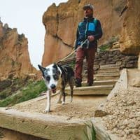 Ruffwear Knot-a-Leash Dog Lead