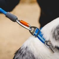 Ruffwear Knot-a-Leash Dog Lead