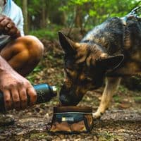 Ruffwear Quencher Packable Dog Bowl