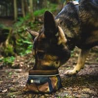 Ruffwear Quencher Packable Dog Bowl