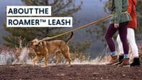 Ruffwear Roamer Bungee Dog Lead