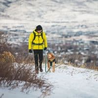 Ruffwear Roamer Bungee Dog Lead