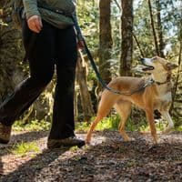 Ruffwear Roamer Bungee Dog Lead