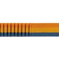 Ruffwear Roamer Bungee Dog Lead