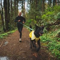 Ruffwear Roamer Bungee Dog Lead