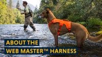 Ruffwear Web Master Dog Harness