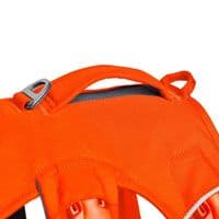 Ruffwear Web Master Dog Harness