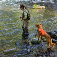 Ruffwear Web Master Dog Harness