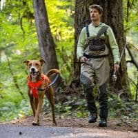 Ruffwear Web Master Dog Harness