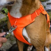 Ruffwear Web Master Dog Harness