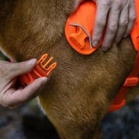 Ruffwear Web Master Dog Harness
