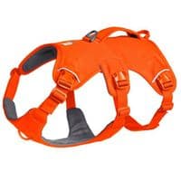 Ruffwear Web Master Dog Harness