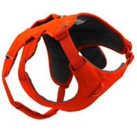 Ruffwear Web Master Dog Harness
