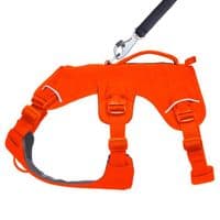 Ruffwear Web Master Dog Harness