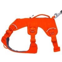 Ruffwear Web Master Dog Harness
