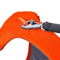 Ruffwear Web Master Dog Harness