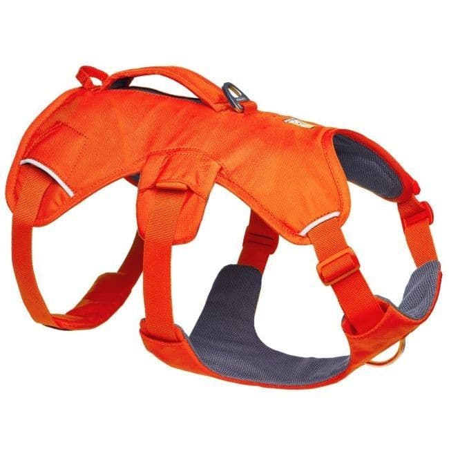 Ruffwear Web Master Dog Harness