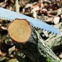 Silky Big Boy Curve Folding Saw -Orange
