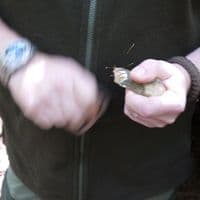 TBS Flint & Steel Firesteel