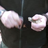 TBS Flint & Steel Firesteel