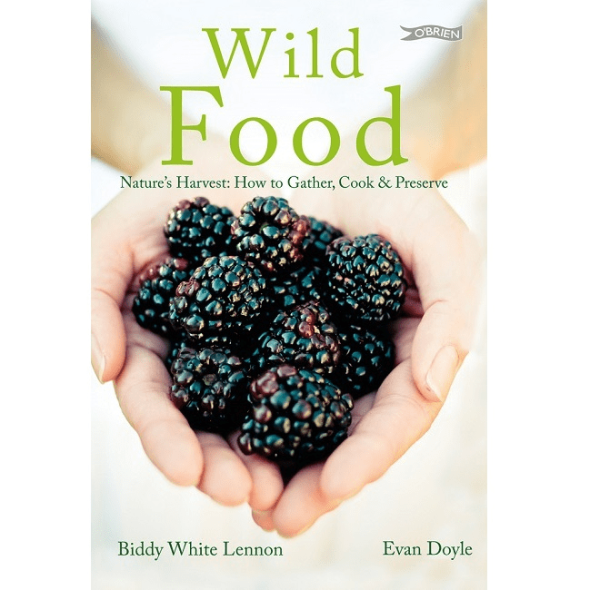 Wild Food a book for Nature's Harvest