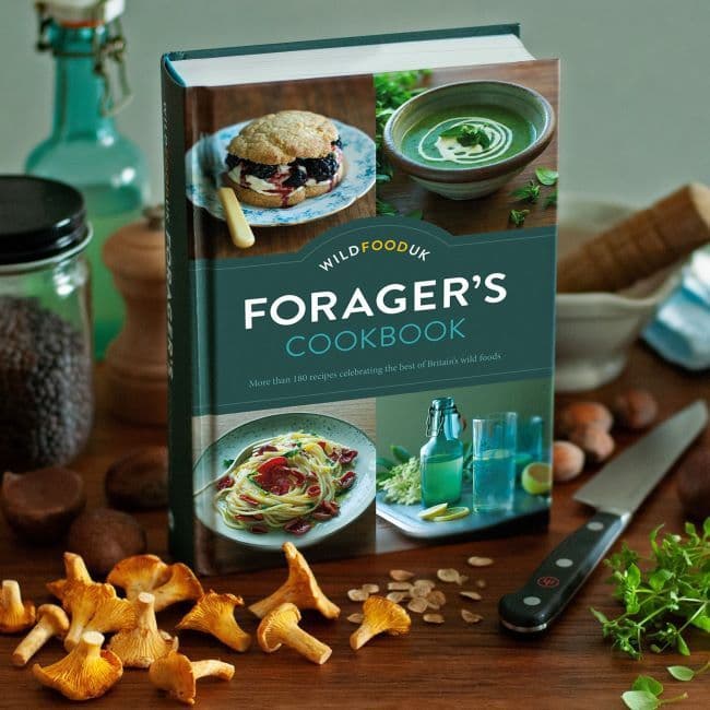 Wild Food UK Foragers Cook Book
