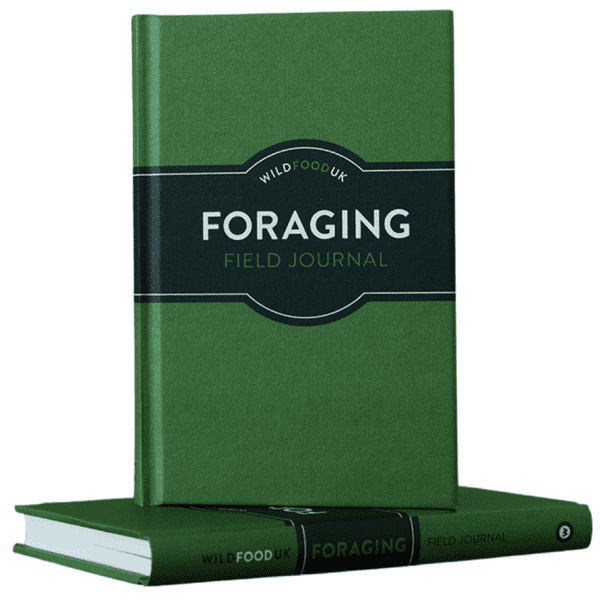 Wild Food UK Foraging Field Journal
